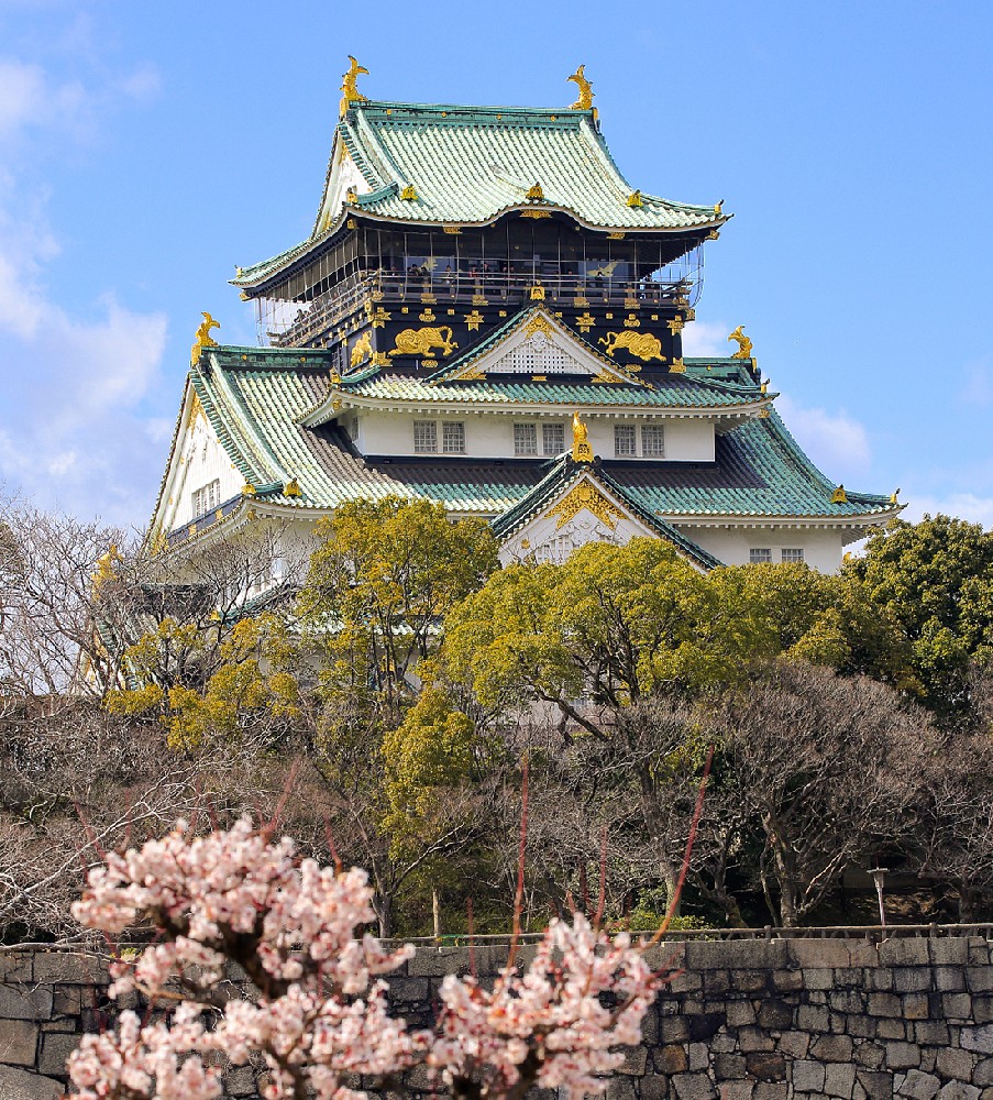 日本直供
